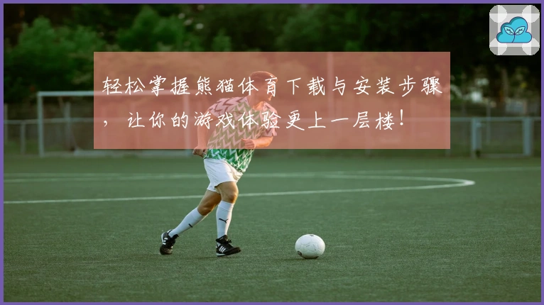 轻松掌握熊猫体育下载与安装步骤，让你的游戏体验更上一层楼！