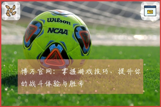 博万官网：掌握游戏技巧，提升你的战斗体验与胜率